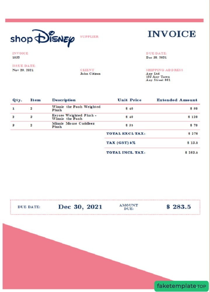 Feature of fake USA Disney invoice example